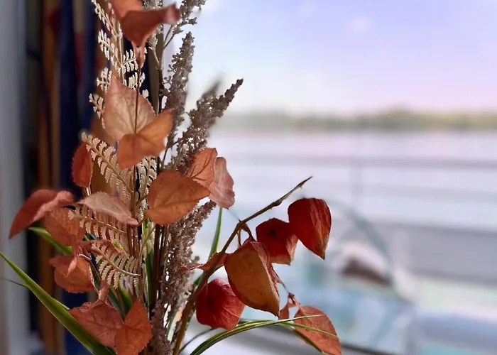 Hotel Boat Sofia Ruse